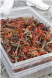 crawfish bucket