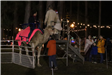 kids riding a camel