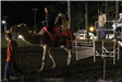kids riding a camel