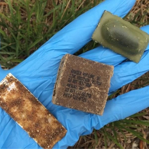 USDA Distributing Oral Rabies Vaccine Baits in Alabama