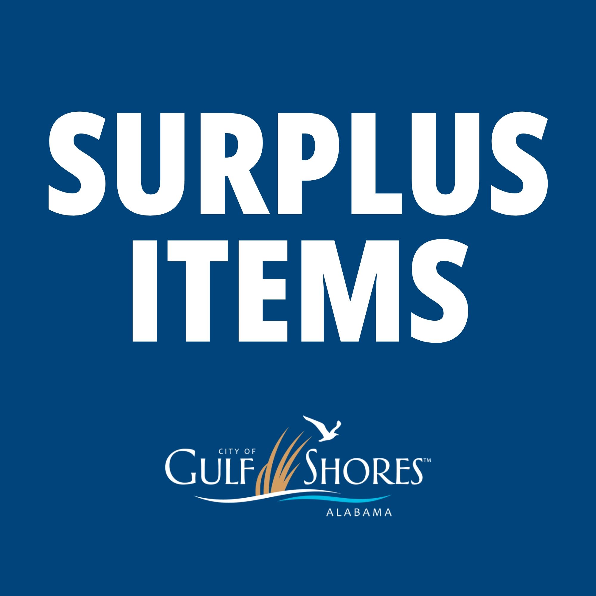 surplus items (1)