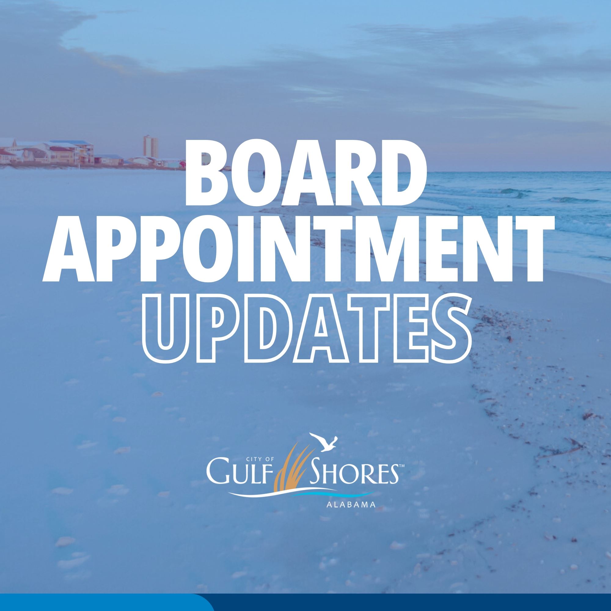 Board Appointment Updates