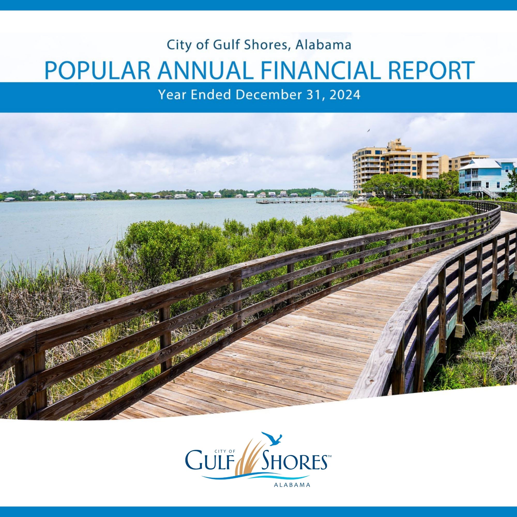 POPULAR ANNUAL FINANCIAL REPORT