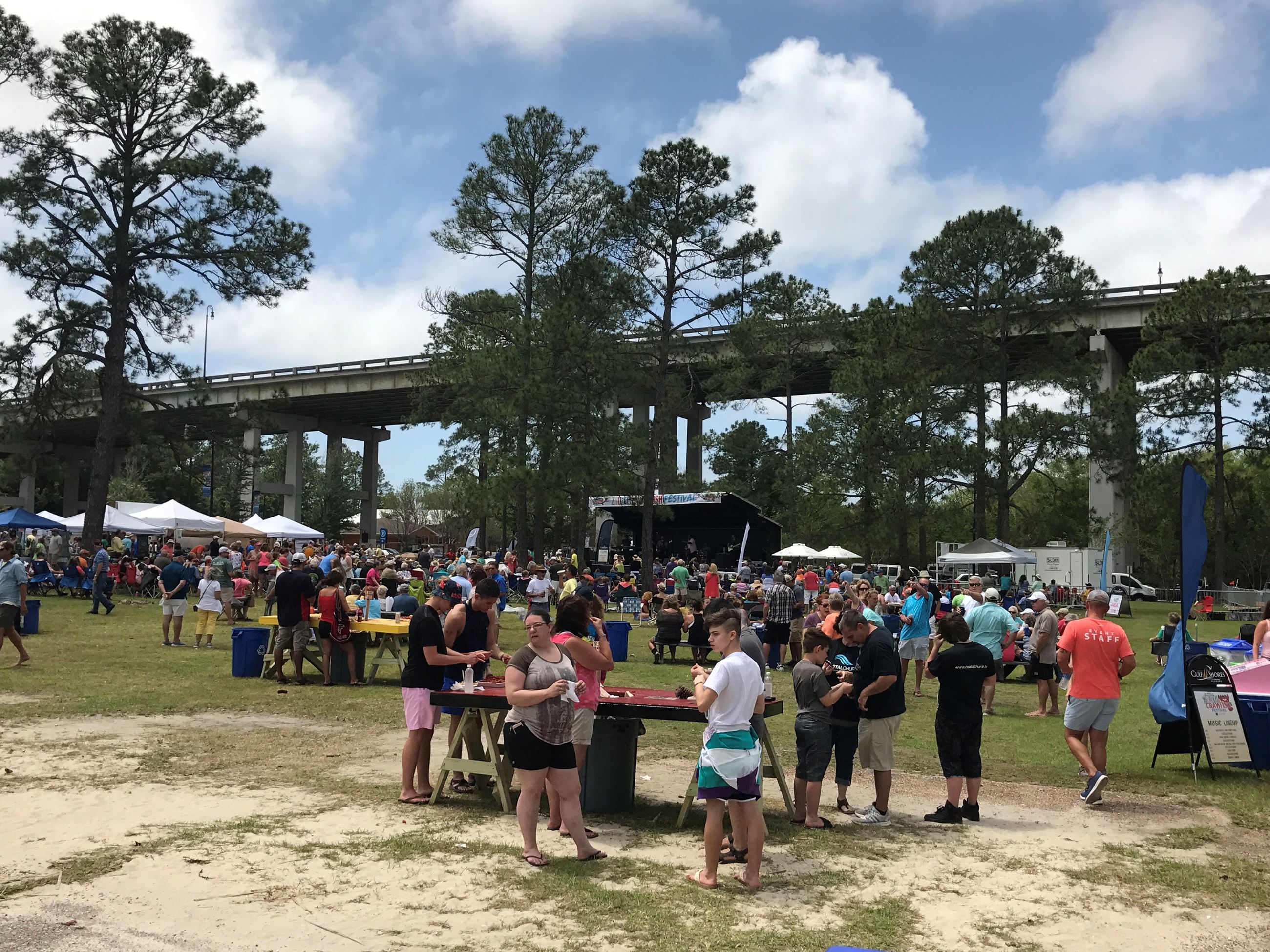 photo of the crowd at zydeco