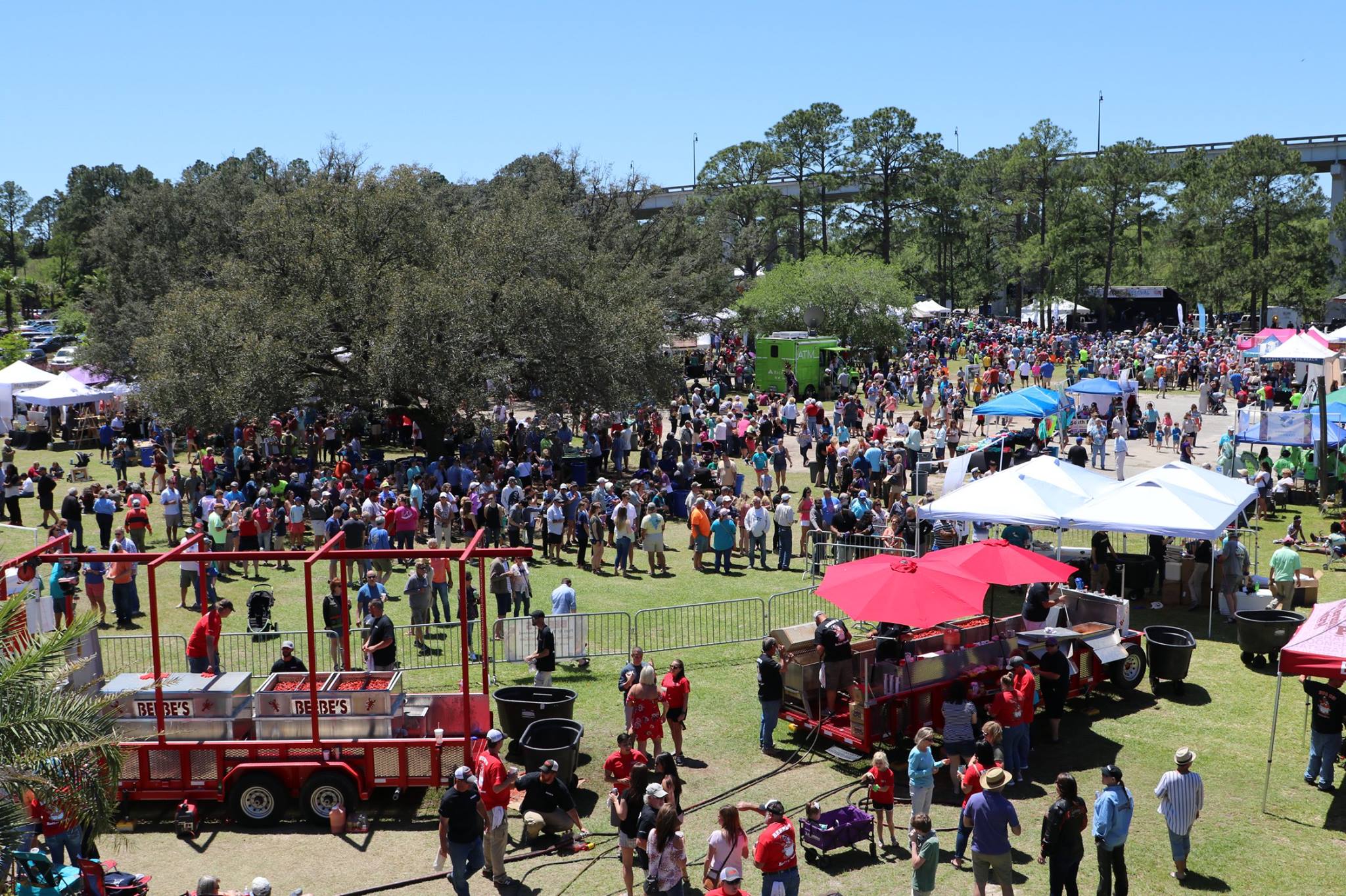 photo of the crowd listening to zydeco music