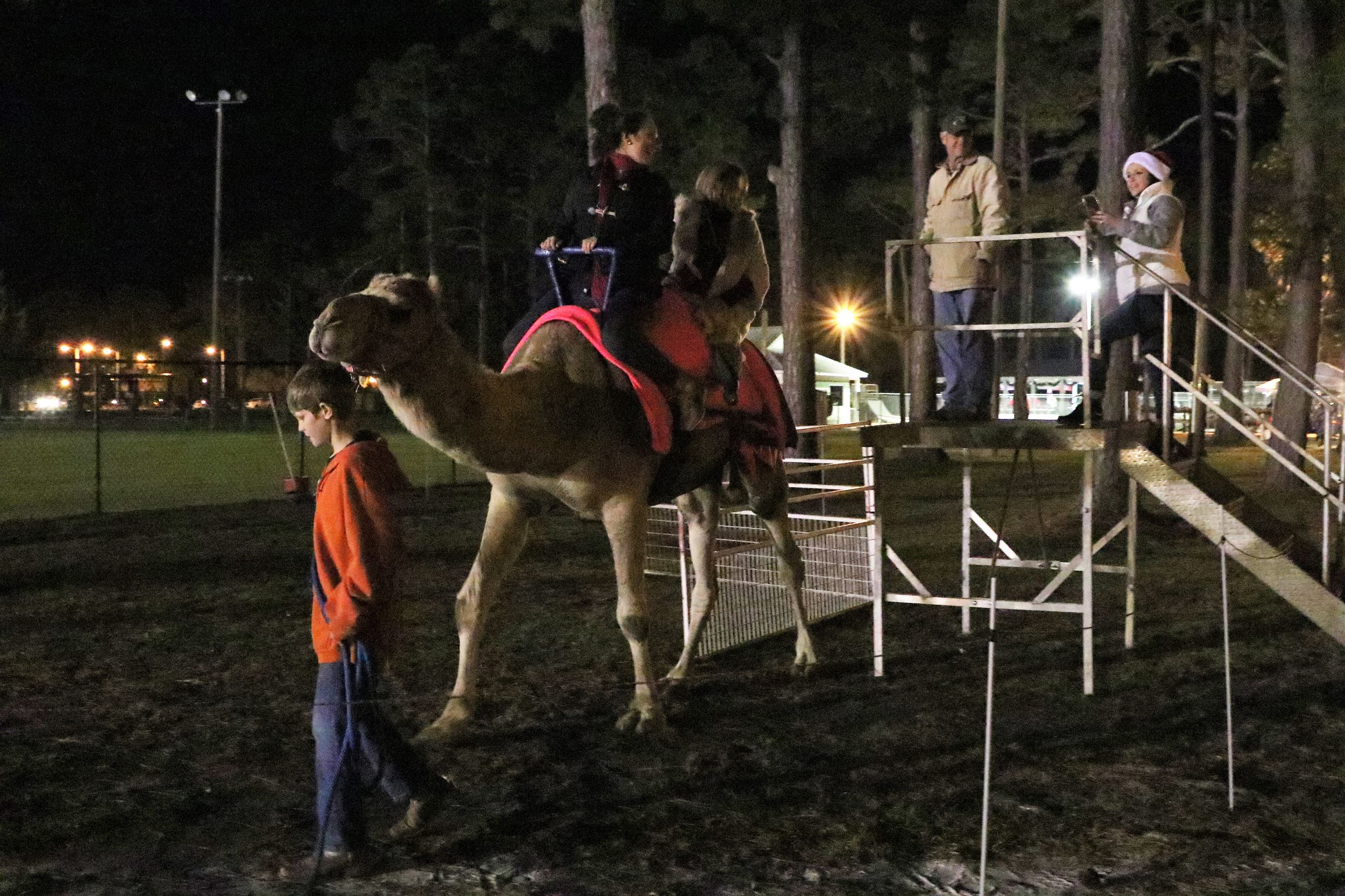 kids riding a camel