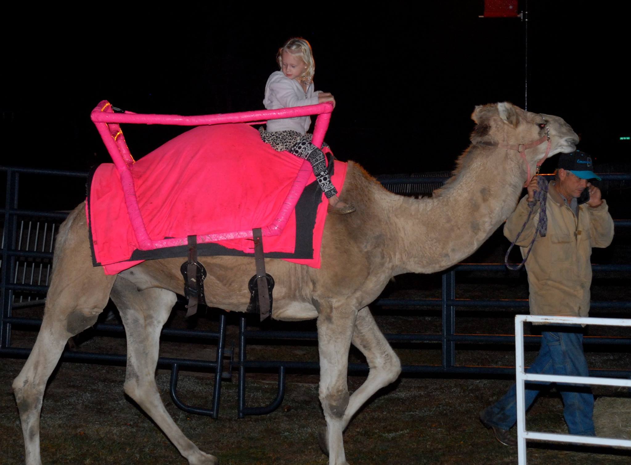 person riding a camel