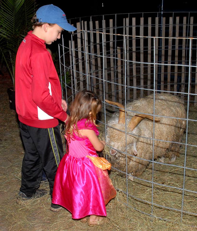 child petting a goat