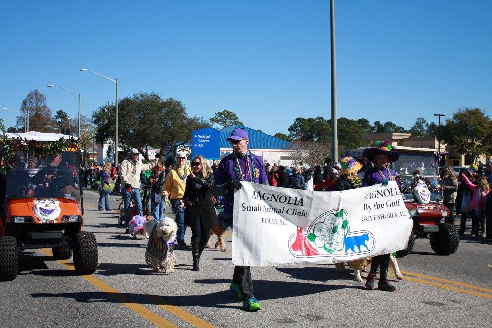 people walking dogs in parade