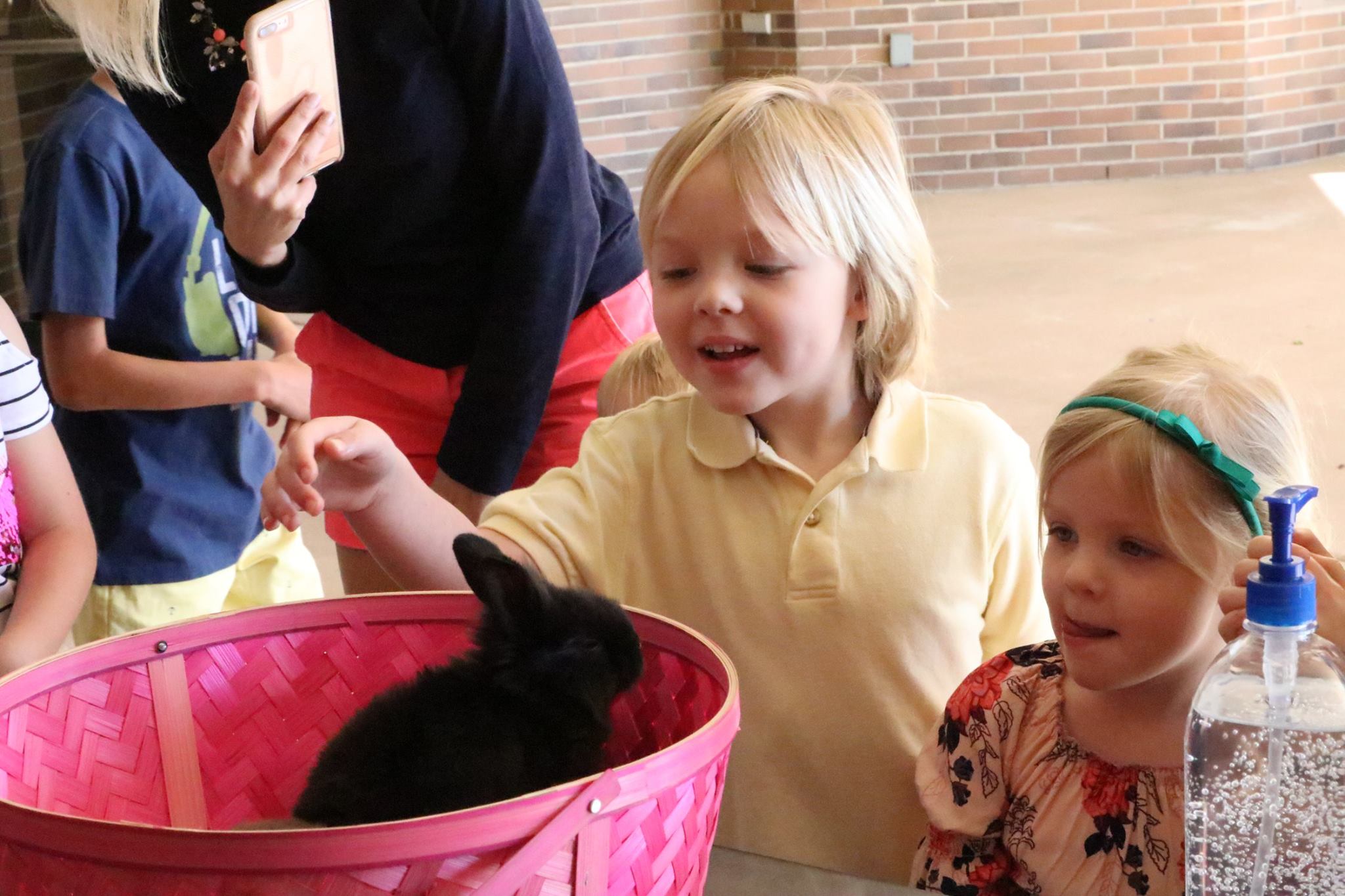 two children petting bunnies