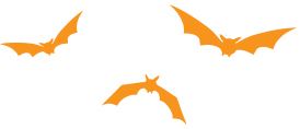 bats icon